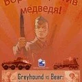 Greyhound vs. Bear 01